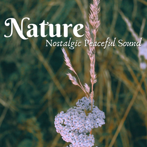 Nature: Nostalgic Peaceful Sound