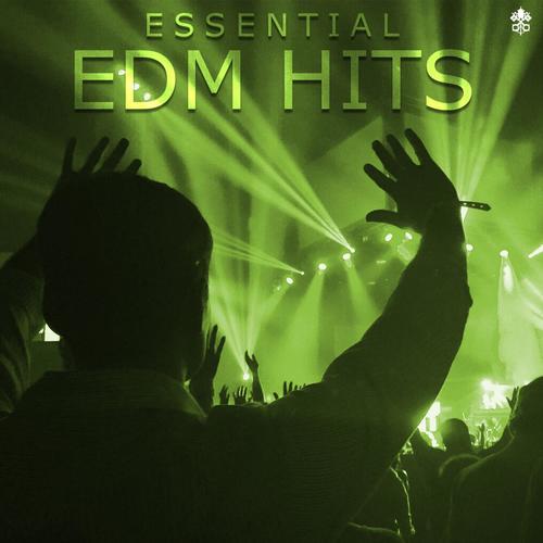 Essential EDM Hits