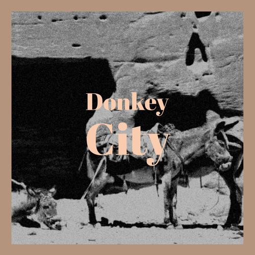 Donkey City