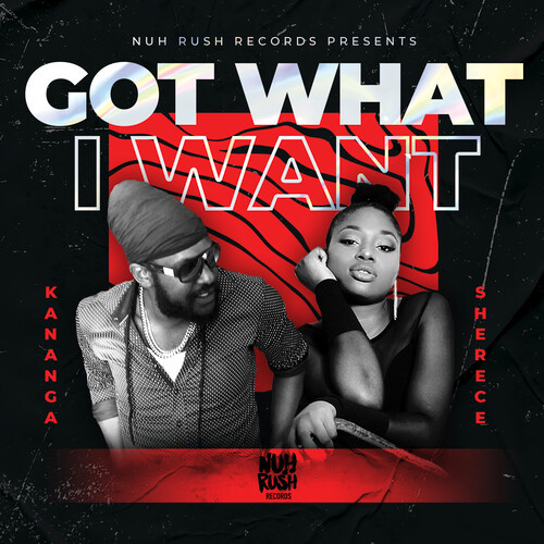 Got What I Want (Explicit)