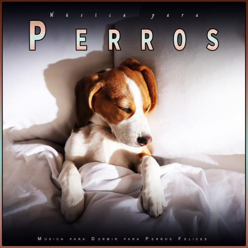 Música para Perros: Música para Dormir para Perros Felices