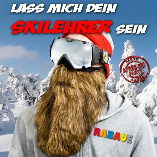 Lass mich dein Skilehrer sein