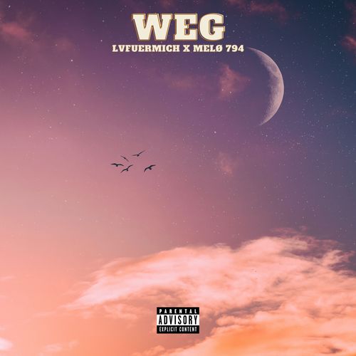 WEG (Explicit)