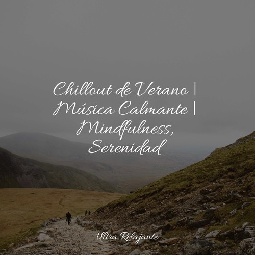 Chillout de Verano | Música Calmante | Mindfulness, Serenidad