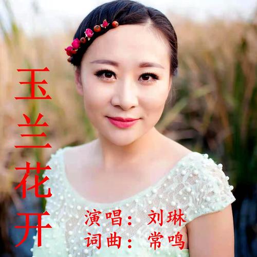 歌手刘琳