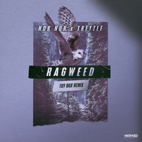 Ragweed (Toy Box Remix)