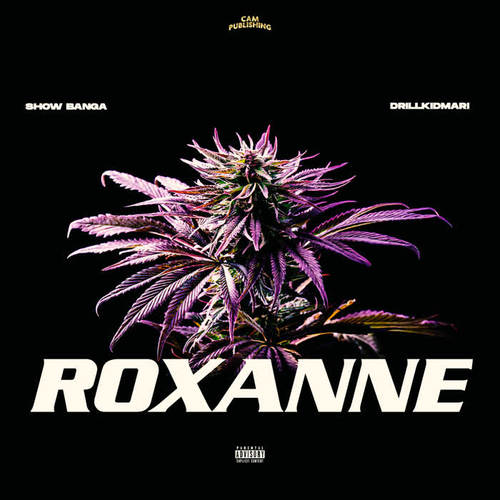 Roxanne (Explicit)