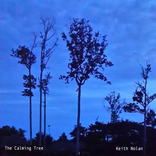 The Calming Tree