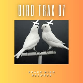 Bird Trax 07