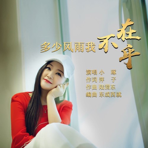 多少风雨我不在乎