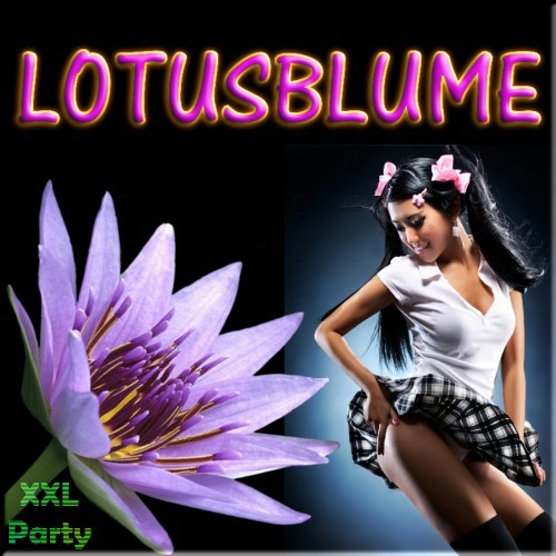 Lotusblume