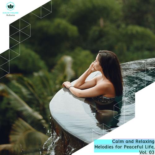 Calm And Relaxing Melodies For Peaceful Life, Vol. 03