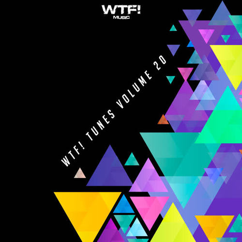 WTF! Tunes, Vol. 20