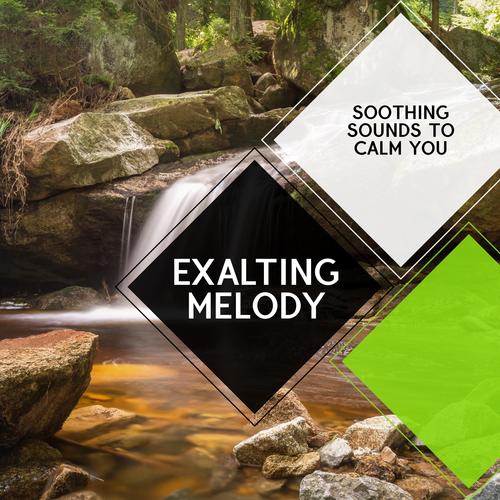 Exalting Melody - Soothing Sounds to Calm You