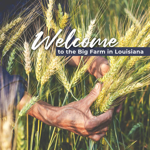 Welcome to the Big Farm in Louisiana