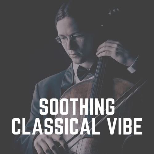 Soothing Classical Vibe