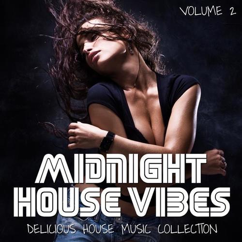 Midnight House Vibes, Vol. 2 (Delicious House Music Collection)