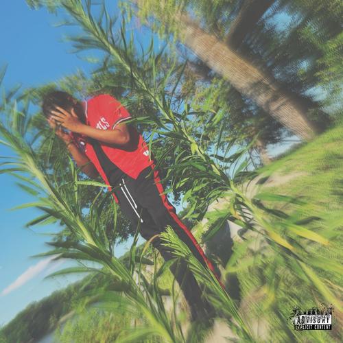 County Days (feat. Ris K) [Explicit]