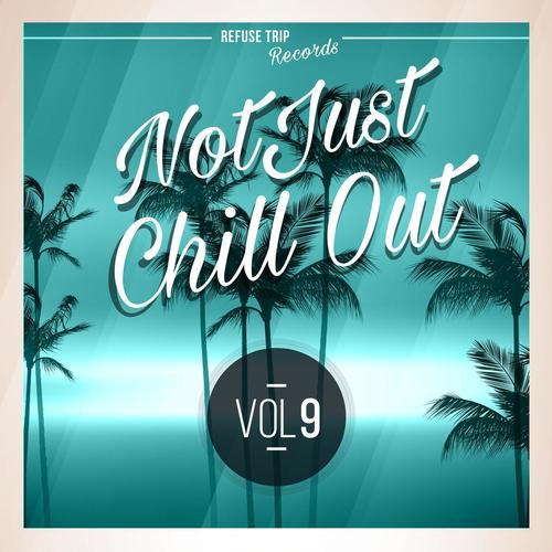 Not Just Chill Out Vol. 9