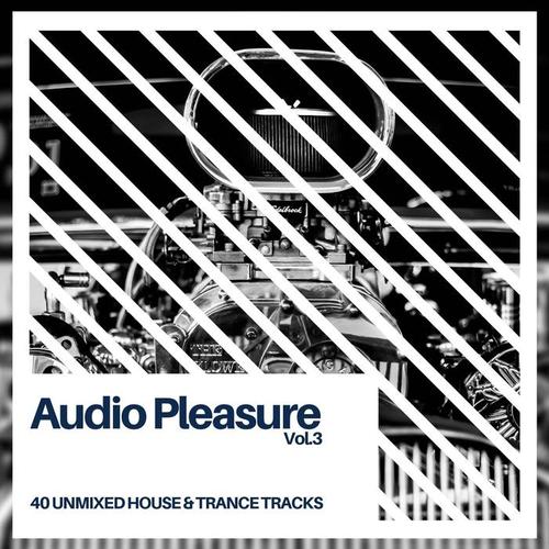 Audio Pleasure Vol.3