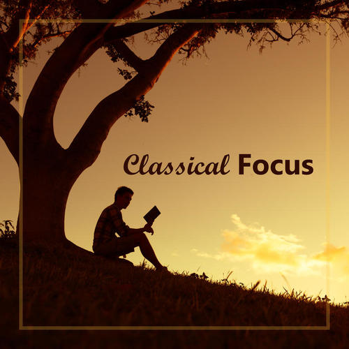 Classical Focus: Brahms