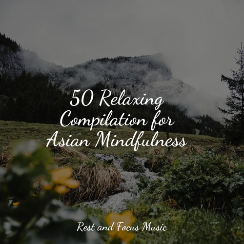 50 Relaxing Compilation for Asian Mindfulness