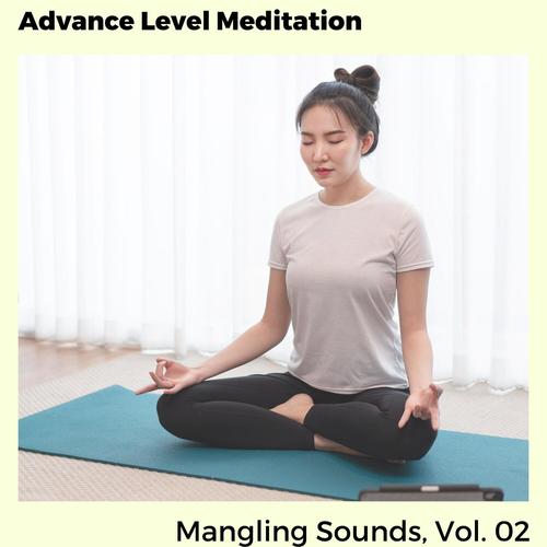 Advance Level Meditation - Mangling Sounds, Vol. 02