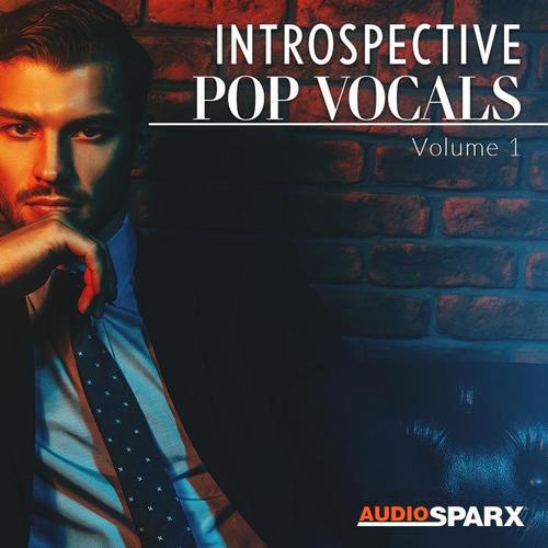 Introspective Pop Vocals Volume 1