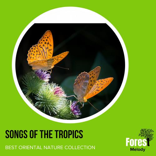 Songs of the Tropics - Best Oriental Nature Collection