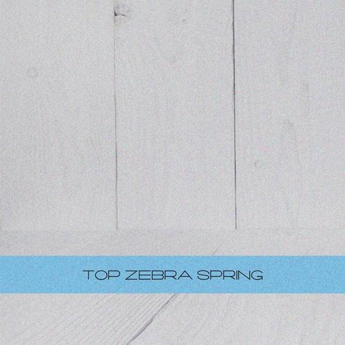 TOP Zebra Spring