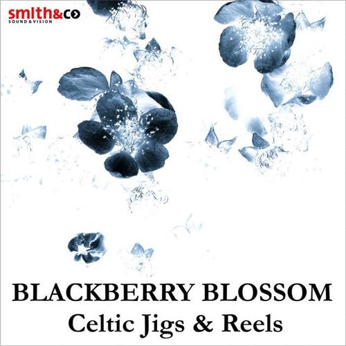 The Blackberry Blossom - Celtic Jigs & Reels