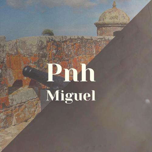 Pnh Miguel