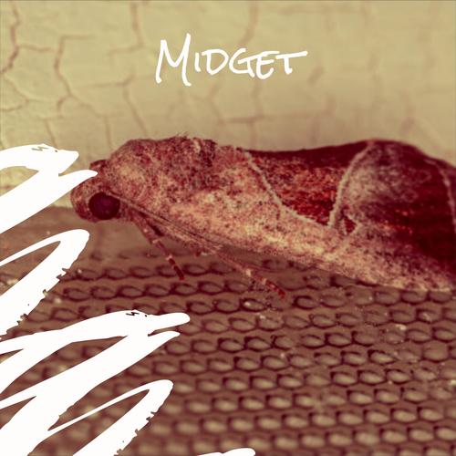 Midget