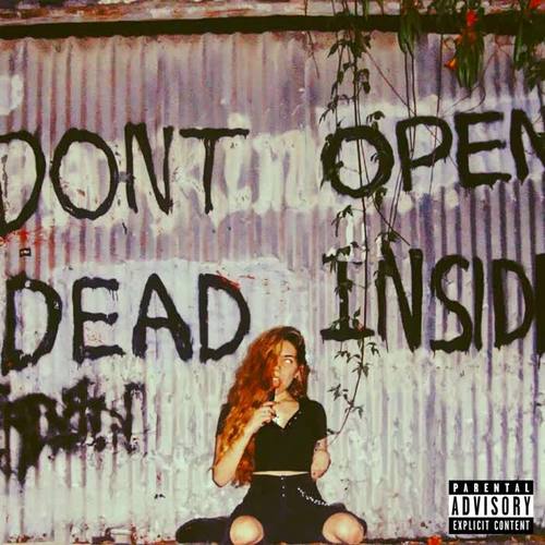 Voices Inside My Head (Explicit)