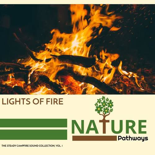 Lights of Fire - The Steady Campfire Sound Collection, Vol. 1
