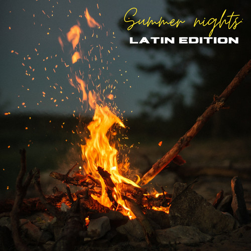 Summer Nights: Latin Edition (Explicit)