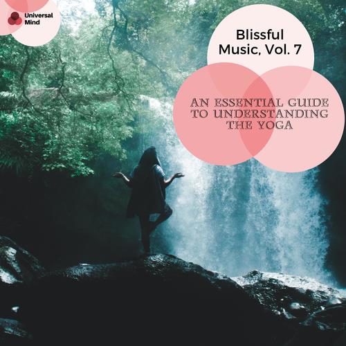 An Essential Guide To Understanding The Yoga - Blissful Music, Vol. 7