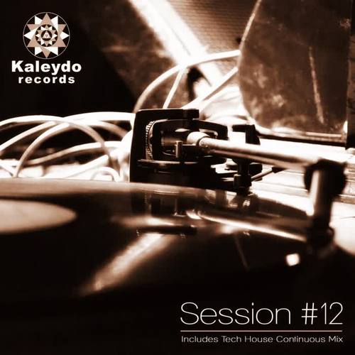 Kaleydo Records Session #12