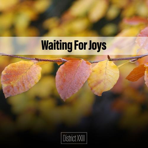 Waiting For Joys District XXIII