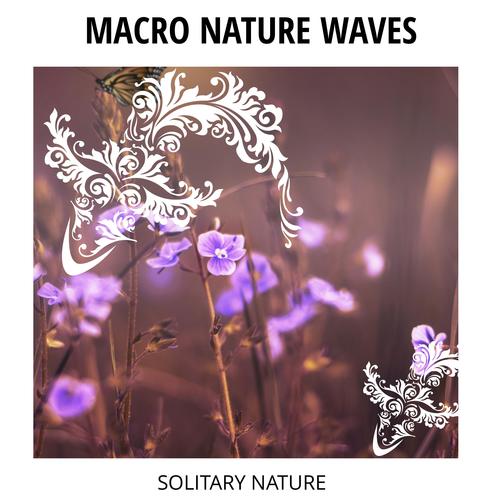 Macro Nature Waves - Solitary Nature