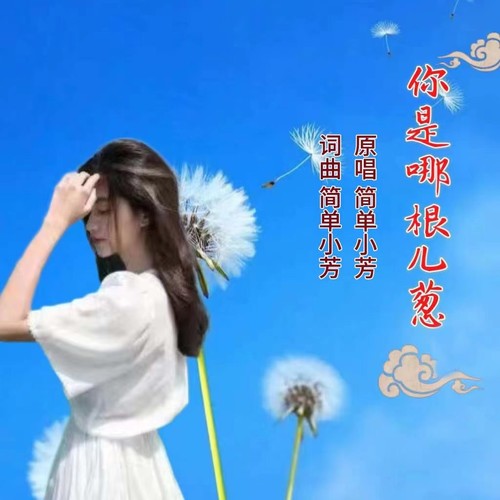 你是哪根儿葱