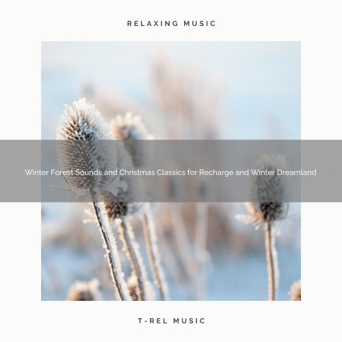 Winter Forest Sounds and Christmas Classics for Recharge and Winter Dreamland