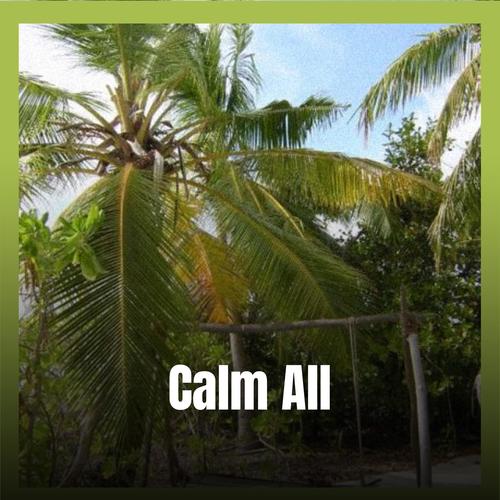 Calm All