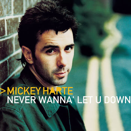 Never Wanna' Let You Down