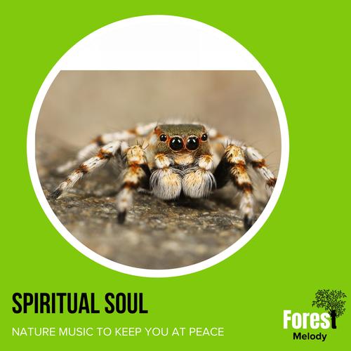 Spiritual Soul - Nature Music to Keep You At Peace