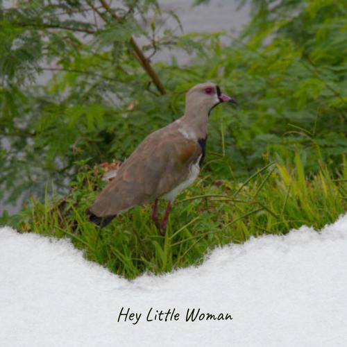 Hey Little Woman