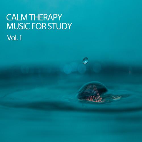 Calm Therapy Music For Study Vol. 1