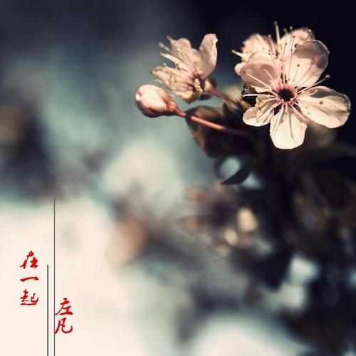 在一起