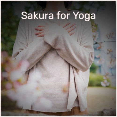 Sakura for Yoga