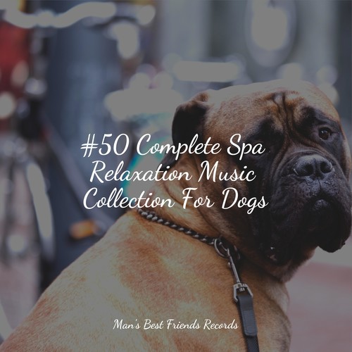 #50 Complete Spa Relaxation Music Collection For Dogs